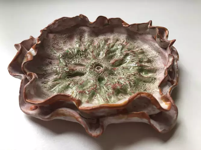 Nature crockery